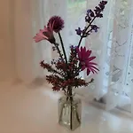 Cherrytreecottage - Cosy 19thcentury Pet Friendly *