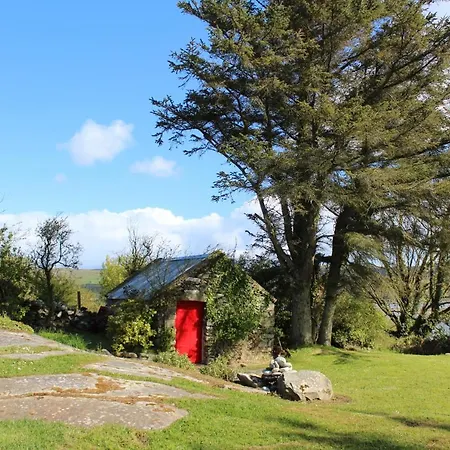 Cherry Tree - Cosy 19th Century * Claragh