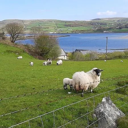Cherrytreecottage - Cosy 19thcentury Pet Friendly Claragh