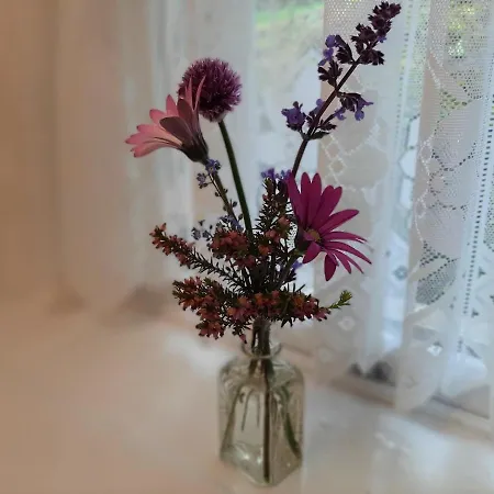 Cherrytreecottage - Cosy 19thcentury Pet Friendly *