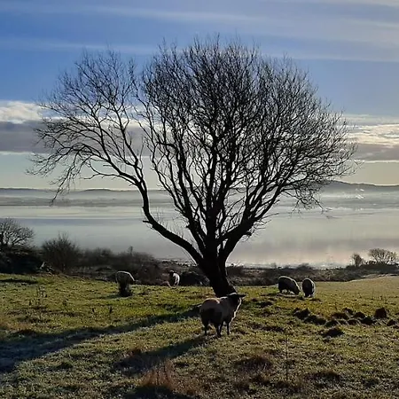 Cherrytreecottage - Cosy 19thcentury Pet Friendly Dom wakacyjny *