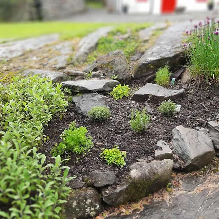 Cherrytreecottage - Cosy 19thcentury Pet Friendly *