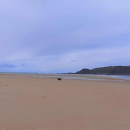 Cherrytreecottage - Cosy 19thcentury Pet Friendly *