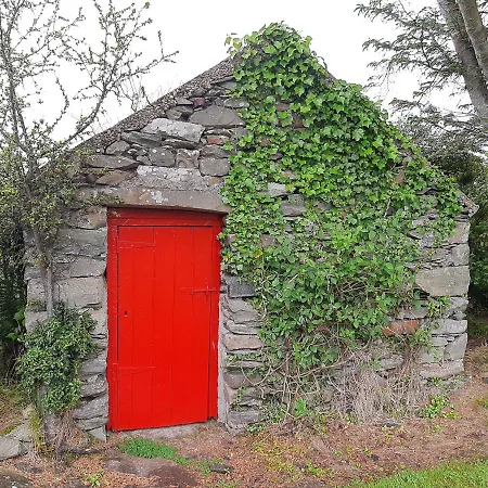 Cherry Tree - Cosy 19th Century Claragh