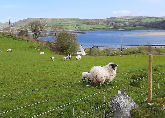 Cherrytreecottage - Cosy 19thcentury Pet Friendly Claragh