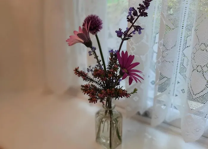 Cherrytreecottage - Cosy 19thcentury Pet Friendly *