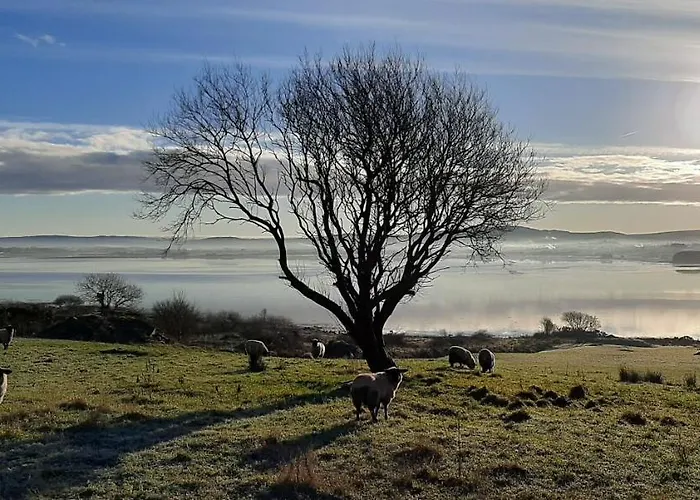 Cherrytreecottage - Cosy 19thcentury Pet Friendly Semesterbostad *