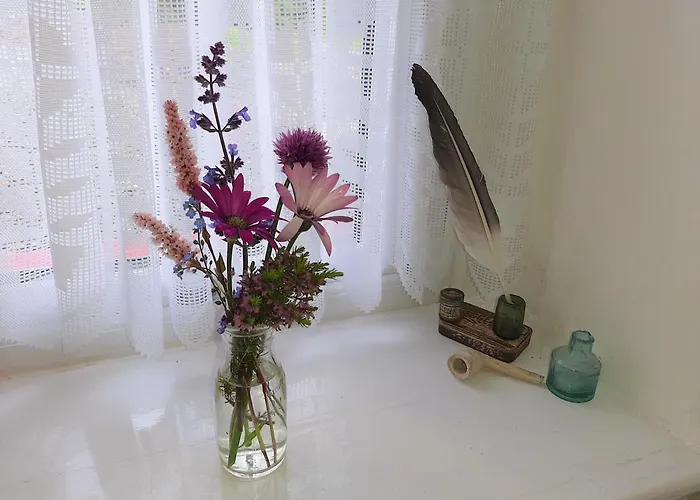 Cherrytreecottage - Cosy 19thcentury Pet Friendly 度假居 Claragh