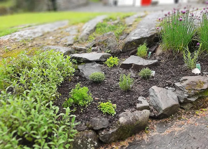 Cherrytreecottage - Cosy 19thcentury Pet Friendly *