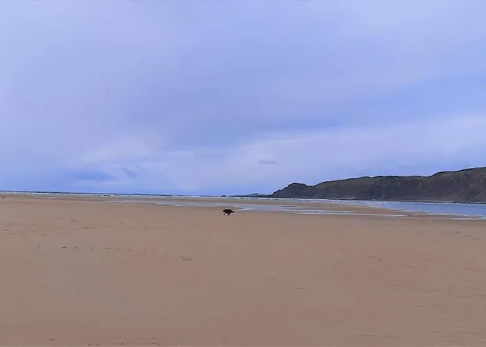 Cherrytreecottage - Cosy 19thcentury Pet Friendly *